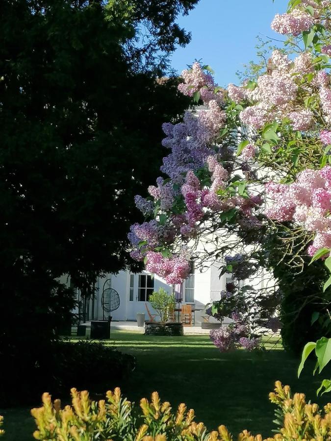 H De Surgeres Bed & Breakfast Bagian luar foto